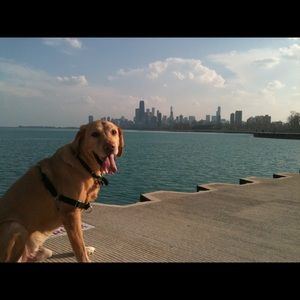 Meet your Posher, Terri